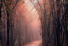 NG28:中超冠军队主力前锋官宣加盟陕西联合,曾留洋西甲,将带队冲超.