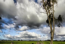 官方透露今年没有提前通知 皇马和曼城都不知道.